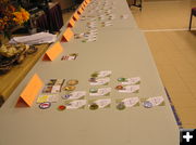 Badges. Photo by Robert Lenz, Scoutmaster, Troop 1.