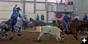 Team Roping. Photo by Carie Whitman.