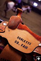 Fair Saddle. Photo by Tara Bolgiano, Blushing Crow Photography.