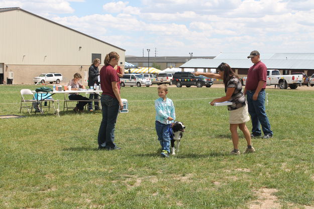 Dog Obedience. Photo by Dawn Ballou, Pinedale Online.