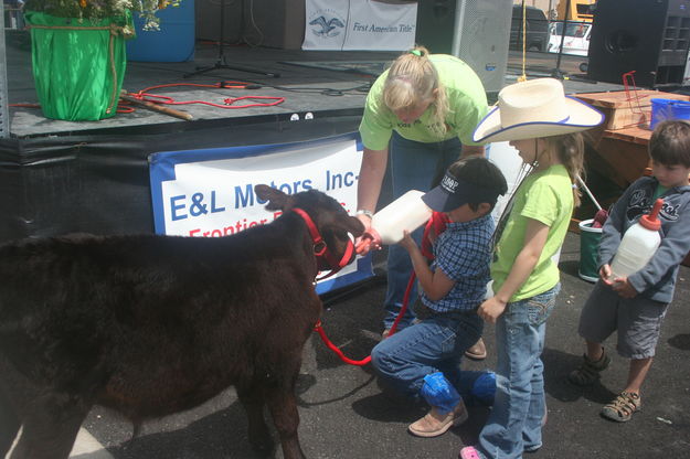 Bottle feeding a calf. Photo by Dawn Ballou, Pinedale Online.