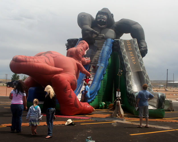 Kong. Photo by Dawn Ballou, Pinedale Online.
