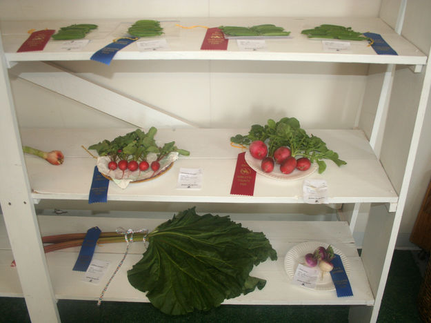 Vegetables. Photo by Dawn Ballou, Pinedale Online.