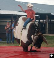Bull rider. Photo by Dawn Ballou, Pinedale Online.