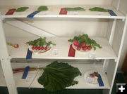 Vegetables. Photo by Dawn Ballou, Pinedale Online.