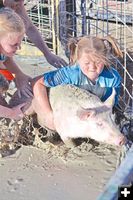 Pig Wrestling. Photo by Kathy Carlson, Sublette Examiner.