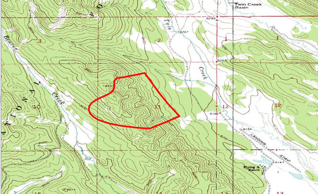 Packer Creek fire map. Photo by Bridger-Teton National Forest.