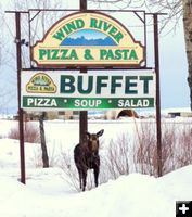 Pizza Moose. Photo by Emi Domoto-Reilly, Rivera Lodge.
