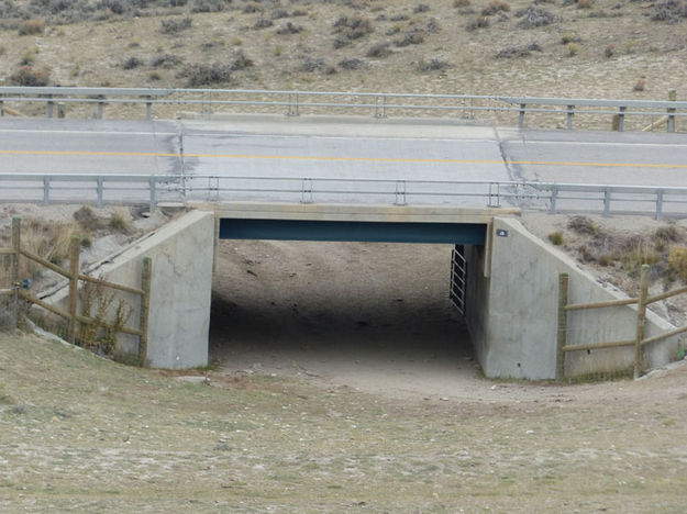 Underpass. Photo by Dawn Ballou, Pinedale Online.