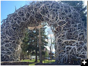 Elk antler arch. Photo by Jackson Hole Chamber.