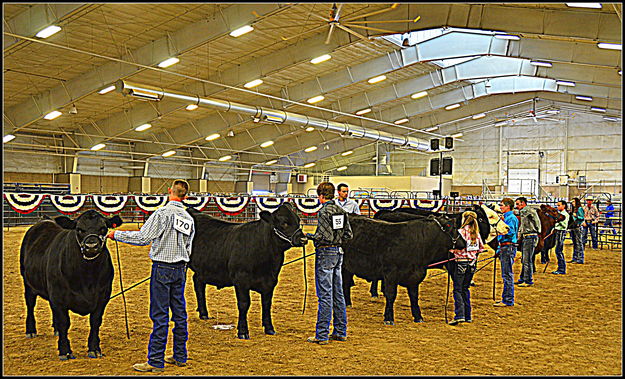 Contestants show their beef. Photo by Terry Allen.