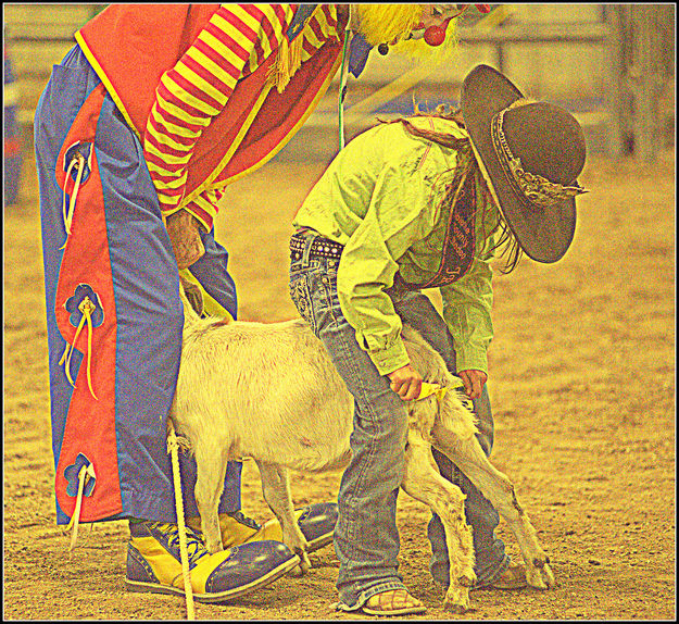 Tying Flag on a Goat. Photo by Terry Allen.
