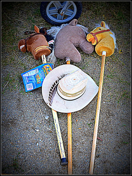 Stick Horses. Photo by Terry Allen.