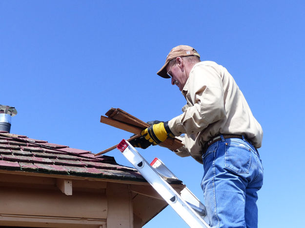 Roof shingles. Photo by Dawn Ballou, Pinedale Online.