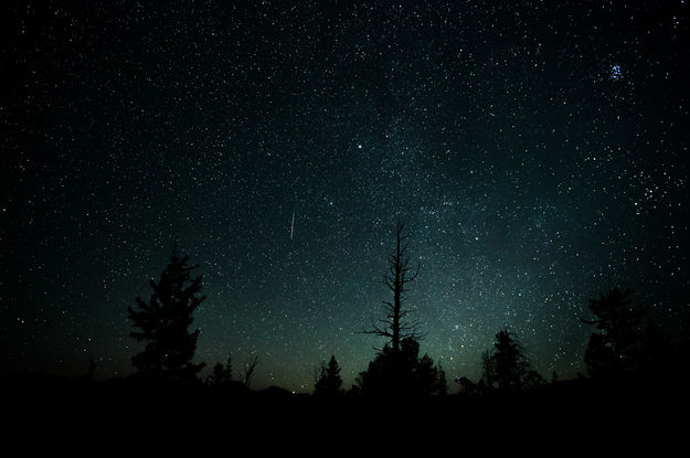 Perseid Meteor Shower. Photo by Arnold Brokling.