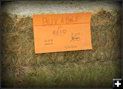Buy a Bale. Photo by Terry Allen.