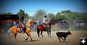 Team Roping. Photo by Terry Allen.