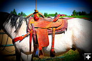 Horse and Saddle. Photo by Terry Allen.
