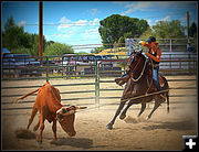 Roping a Steer. Photo by Terry Allen.