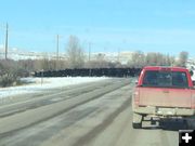 Wyoming traffic jam. Photo by Renee' Smythe.