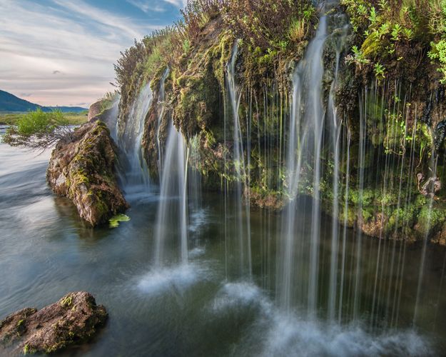 Jungle Juice. Photo by Arnie Brokling.