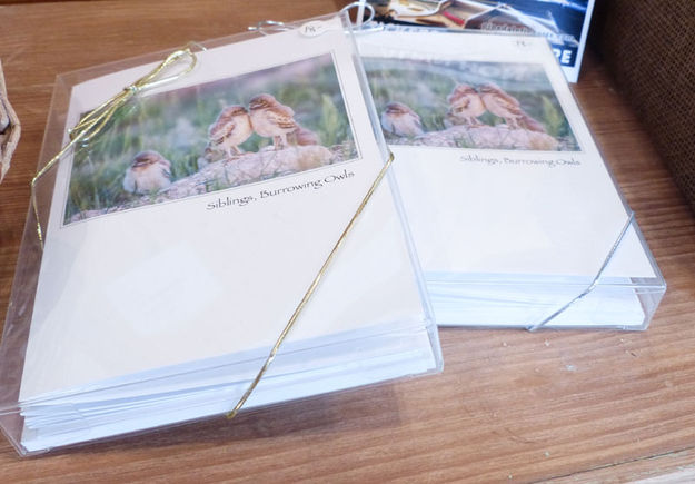 Photo Note Cards. Photo by Dawn Ballou, Pinedale Online.