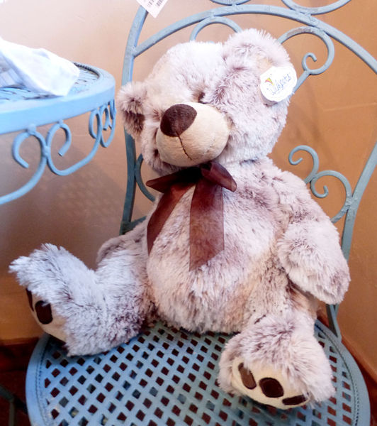 Teddy Bear. Photo by Dawn Ballou, Pinedale Online.
