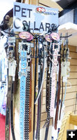 Glitzy pet collars. Photo by Dawn Ballou, Pinedale Online.