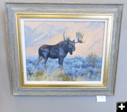 Gros Ventre Moose. Photo by Dawn Ballou, Pinedale Online.