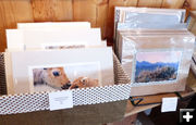 Matted prints. Photo by Dawn Ballou, Pinedale Online.