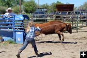 Tilly Roping. Photo by Terry Allen.