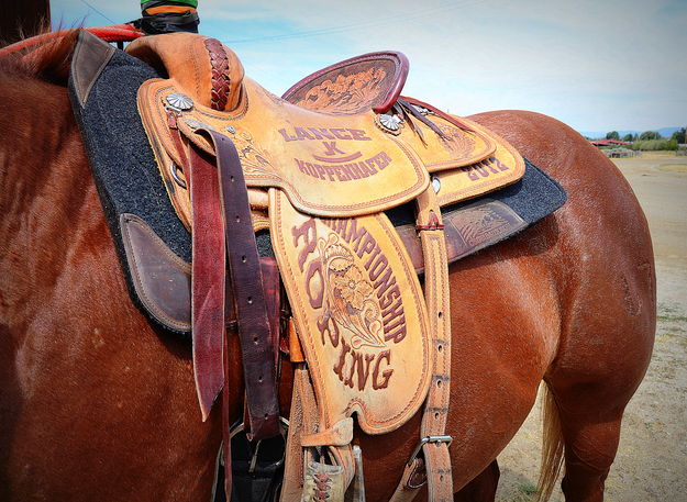 A Past Saddle Winner. Photo by Terry Allen.