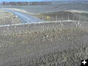 Cattle herd approaching. Photo by Trapper's Point Wildlife Overpass webcam.
