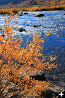 Green River. Photo by Fred Pflughoft.