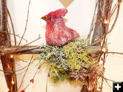 Cardinal. Photo by Dawn Ballou, Pinedale Online.