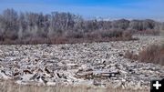 Ice Jam on the Green River. Photo by Dave Bell.