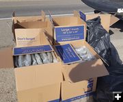 Marijuana bust. Photo by Sweetwater County Sheriff's Office.