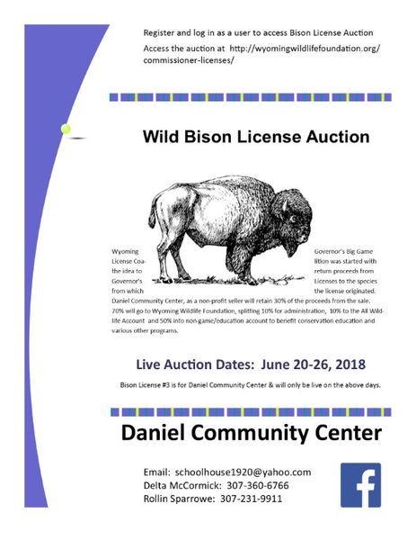 Bison Hunt Auction. Photo by Daniel Community Center.