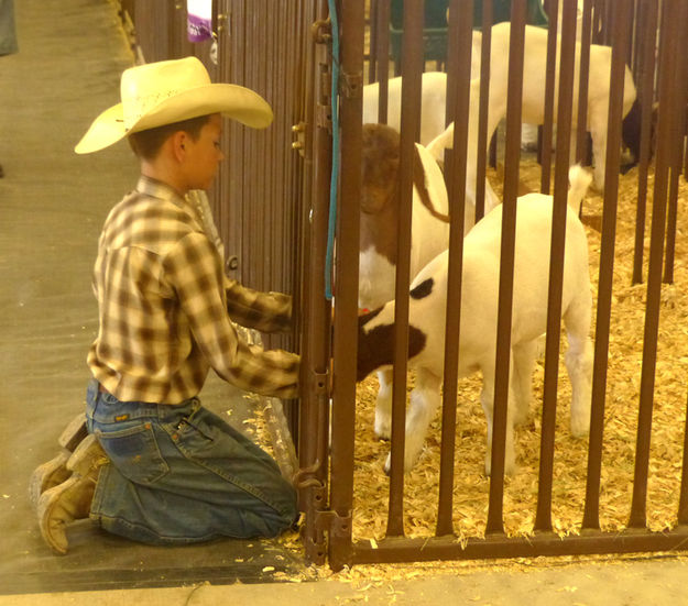 With his goat. Photo by Dawn Ballou, Pinedale Online.