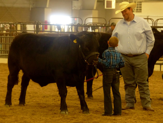 Judging. Photo by Dawn Ballou, Pinedale Online.