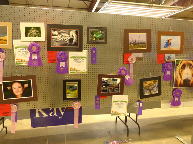 Photography exhibits. Photo by Dawn Ballou, Pinedale Online.