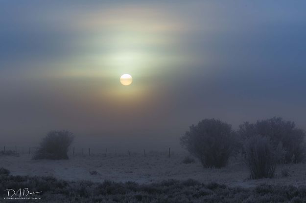 Foggy Sunrise. Photo by Dave Bell.
