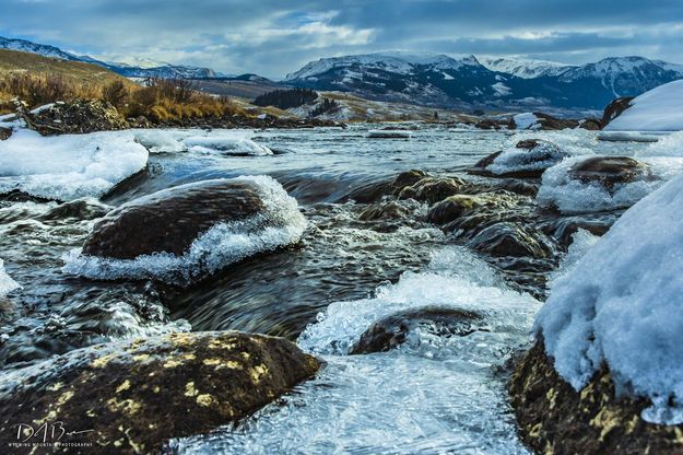 Sparkly Ice. Photo by Dave Bell.