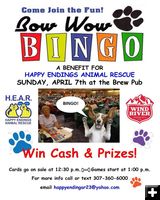 Bow Wow Bingo. Photo by Happy Endings Animal Rescue.