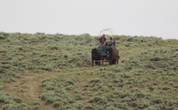 Down the trail. Photo by Dawn Ballou, Pinedale Online.