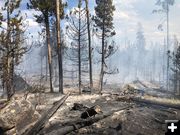New Fork Fire. Photo by Bridger-Teton National Forest.