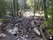 Trail work. Photo by Friends of the Bridger-Teton.