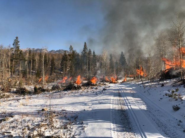 Pile burning. Photo by Bridger-Teton National Forest.
