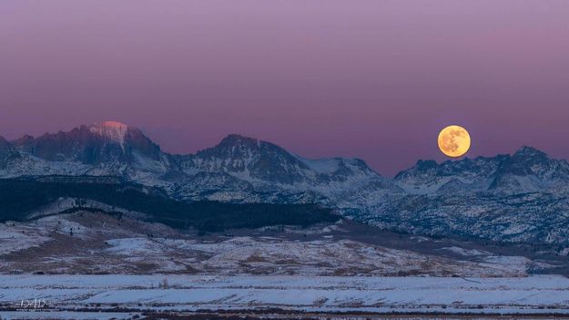 Full Moon Rising. Photo by Dave Bell.