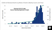 Deaths. Photo by Wyoming Department of Health.